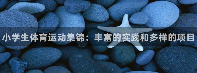 JJB竞技宝官方正版app集团官网首页网址：小学生体育运动集