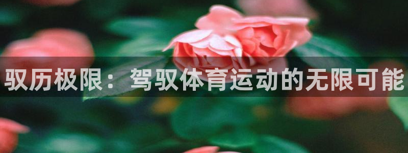 JJB竞技宝官网下载招商电话地址：驭历极限：驾驭体育