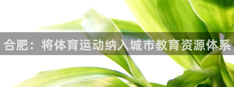 JJB竞技宝官网下载平台注册流程图：合肥：将体育运动