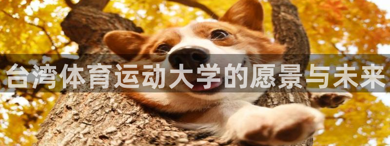 JJB竞技宝官网下载招商电话：台湾体育运动大学的愿景