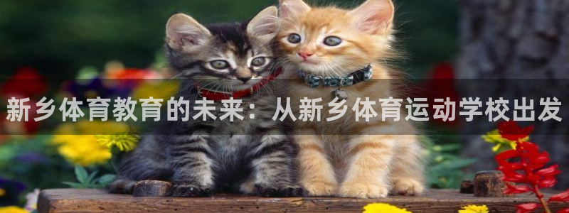JJB竞技宝官方正版app开户：新乡体育教育的未来：