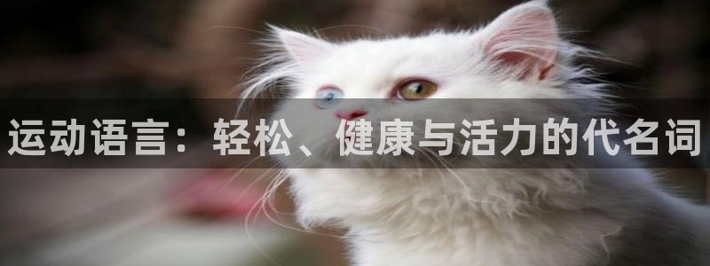 JJB竞技宝官网下载招商电话地址：运动语言：轻松、健