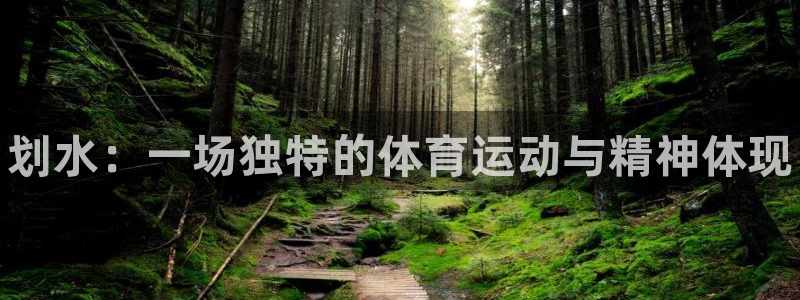 JJB竞技宝官方正版app神州：划水：一场独特的体育