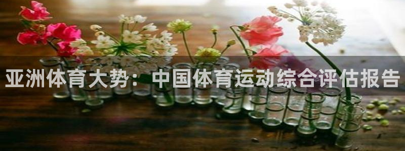 JJB竞技宝官网下载软件