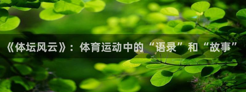 JJB竞技宝官网下载平台注册流程图：《体坛风云》：体