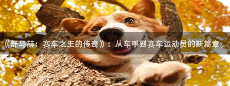JJB竞技宝官网下载平台假的吗是真的吗吗：《舒马赫：