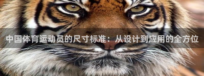 JJB竞技宝官方正版app集团官网网址：中国体育运动员的尺寸