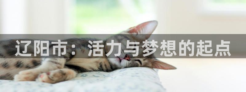 JJB竞技宝官网下载平台是正规平台吗安全吗：辽阳市：活力与梦