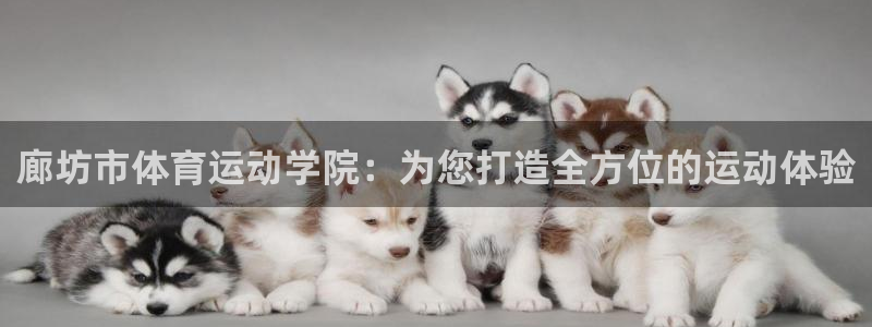JJB竞技宝官方正版app娱乐首页官网下载：廊坊市体育运动学