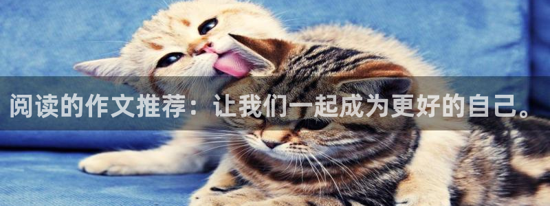 JJB竞技宝官方正版app集团logo
