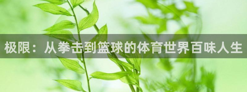 JJB竞技宝官网下载平台：极限：从拳击到篮球的体育世界百味人