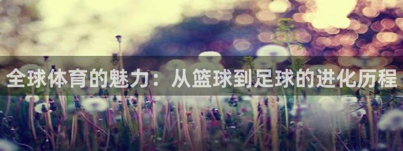 JJB竞技宝官方正版app官网：全球体育的魅力：从篮球到足球