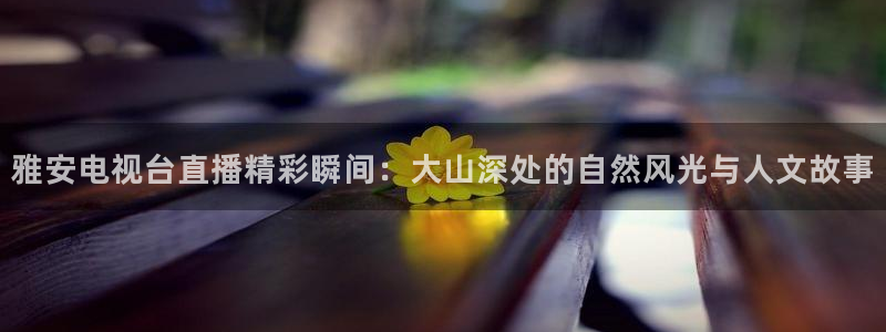 蜘蛛直播体育可可直播：雅安电视台直播精彩瞬间：大山深处的自然风光与人文故事