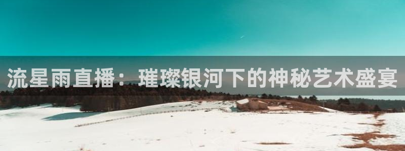 蜘蛛nba直播免费观看：流星雨直播：璀璨银河下的神秘艺术盛宴
