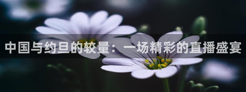 蜘蛛体育直播：中国与约旦的较量：一场精彩的直播盛宴