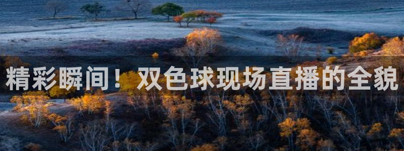 蜘蛛体育免费直播在线观看：精彩瞬间！双色球现场直播的全貌
