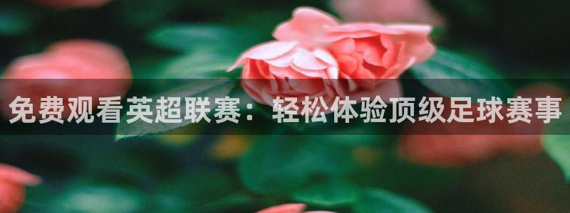 蜘蛛直播nba直播在线直播：免费观看英超联赛：轻松体验顶级足球赛事