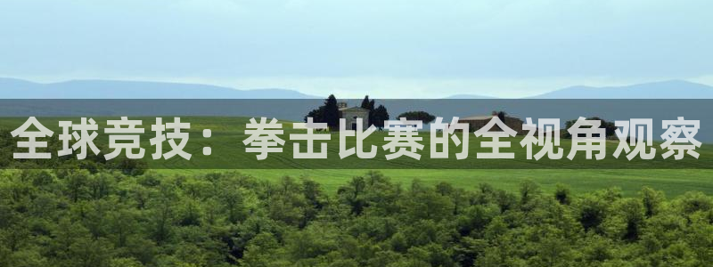 蜘蛛体育免费直播在线观看：全球竞技：拳击比赛的全视角观察