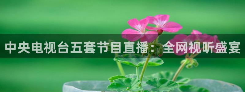 蜘蛛直播nba在线观看：中央电视台五套节目直播：全网视听盛宴