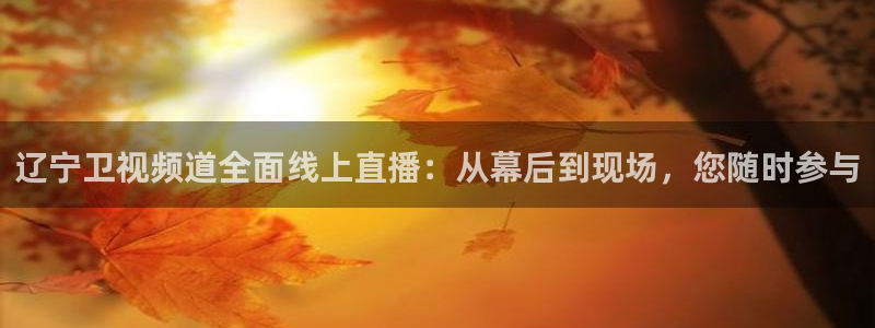 jrs直播nba(无插件)直播蜘蛛直播：辽宁卫视频道全面线上直播：从幕后到现场，您随时参与